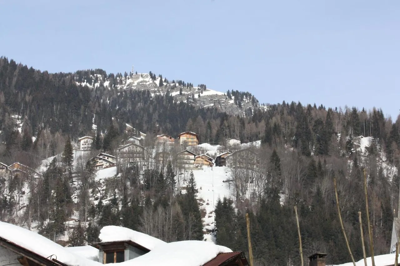 Studio Ebi Vacation - Alleghe - Monte Civetta